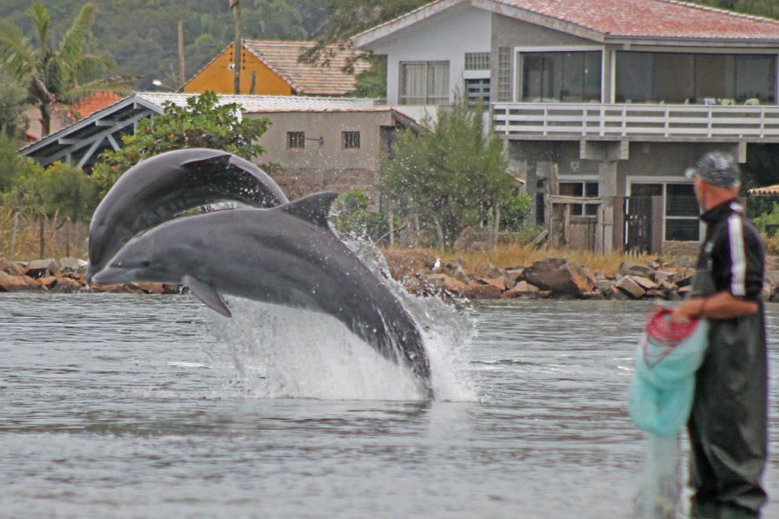 Laguna: A Capital Nacional do Boto Pescador